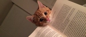Reading pets1
