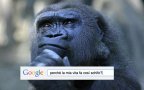 Gorilla dubbioso