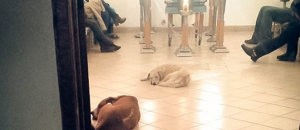 Schermata 2015 03 31 alle 10.26.06
