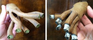 Cannoni
