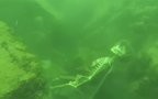 Coloradoriver