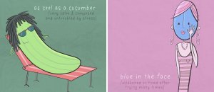Roisin Hahessy English Idioms