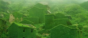 Abandoned village zhoushan china