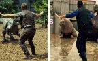 Zookeepers recreating jurassic world raptor scene