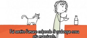 Schermata 2015 07 10 alle 11.03.02