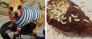 Uncomfortably Realistic Cakes That Will Freak You Out