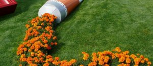 Spilled flowers garden ideas 1