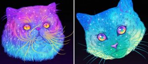 Intergalactic Cats Youll Love What More Do You Need