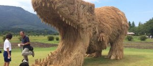 Dinosaur straw sculptures wara art festival niigata japan