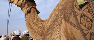 Camel hair art