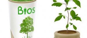 L’urna Bios trasforma il caro defunto in un albero