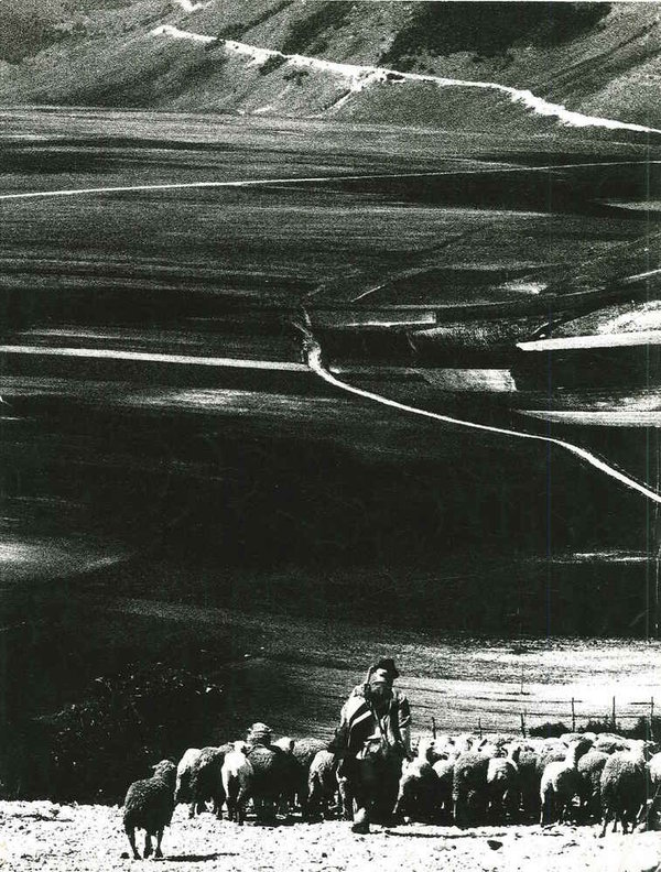 Le foto di Ulisse Bezzi