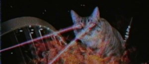 Gattino laser e fiamme
