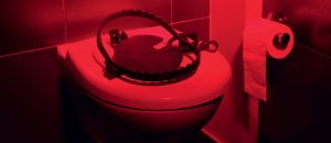 Toilet sicure