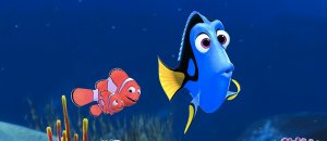 Ricerca dory