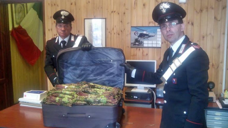 Tutta la meraviglia de I Tesori dei Carabinieri, la pagina con le foto dei beni confiscati