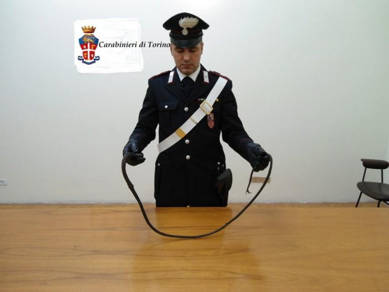 Tutta la meraviglia de I Tesori dei Carabinieri, la pagina con le foto dei beni confiscati