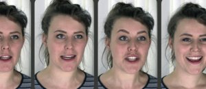 FaceDirector