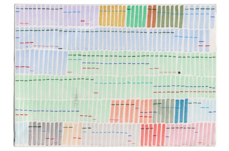 Stefanie DearData libri