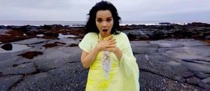 Bjork