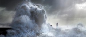 Wave