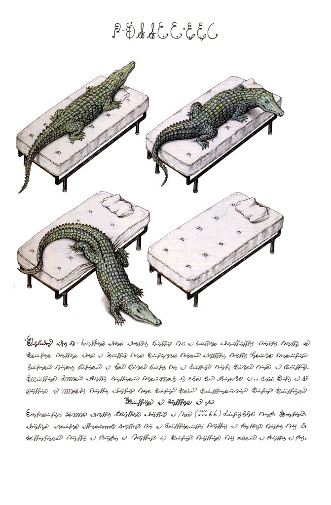 Alcune tavole del Codex Seraphinianus di luigi Serafini, 1981.