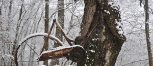 Albero bicicletta sitran