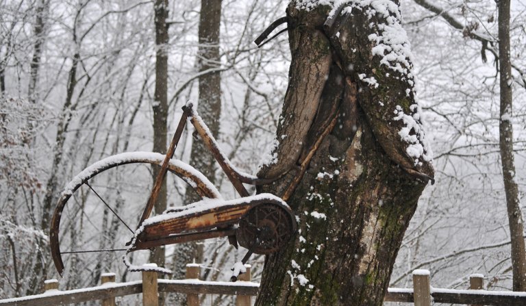 Albero bicicletta sitran