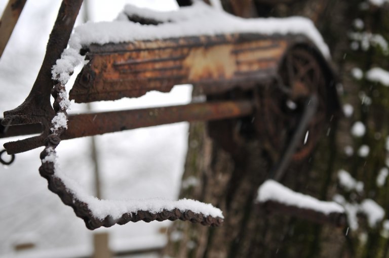 L'albero che ha mangiato la bicicletta