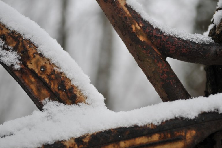 L'albero che ha mangiato la bicicletta