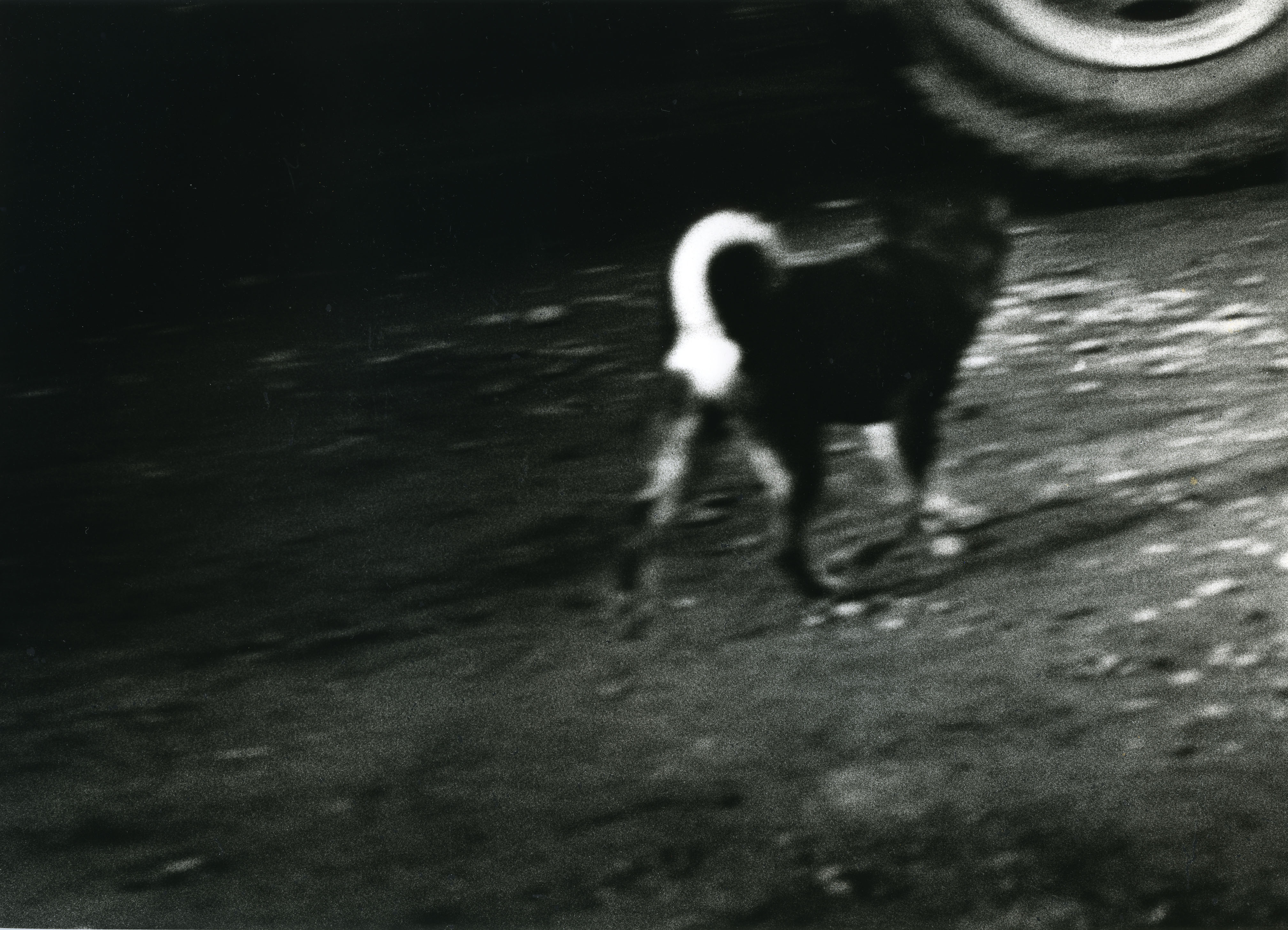 Daido Moriyama, On the road, 1969/2008. Courtesy Fondazione Fotografia Modena
