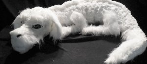 Falkor