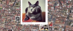 Gattini mappa foto