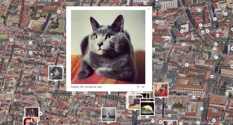 Gattini mappa foto