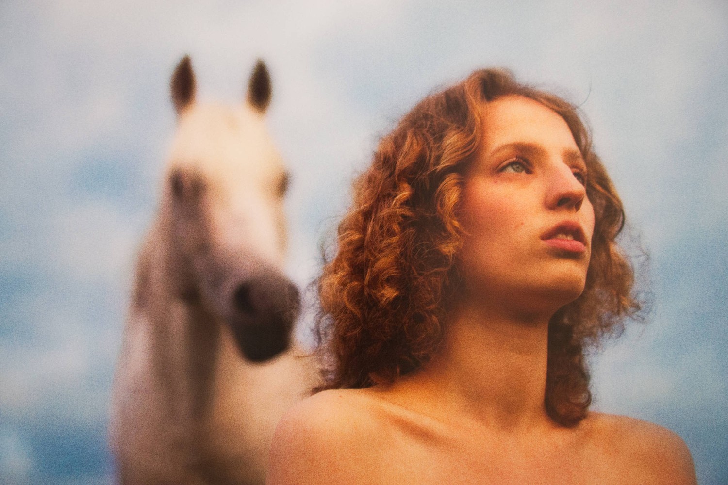 Petra (White Stallion), 2013