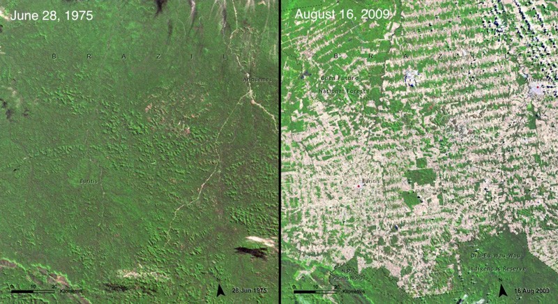La regione di Rondonia, deforestata selvaggiamente a partire dagli anni '70 del secolo scorso
