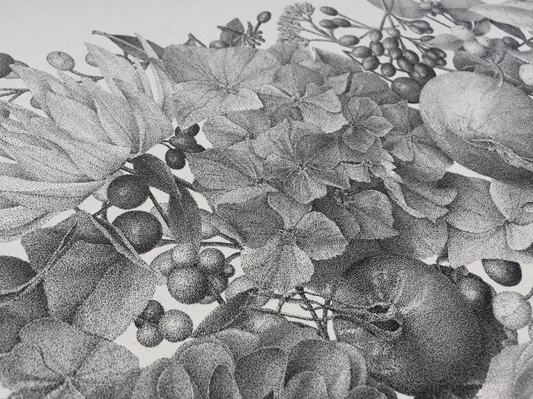 Questo disegno è stato fatto con 7 milioni di puntini