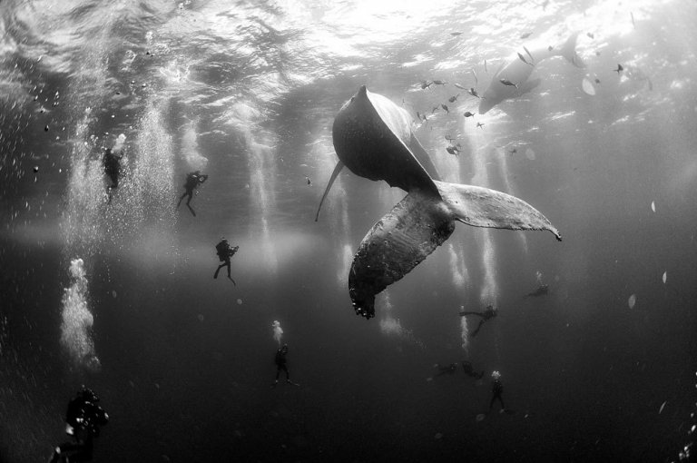 I vincitori del World Press Photo 2016