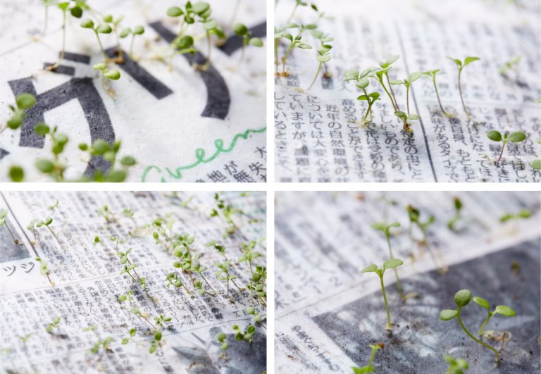 Green Newspaper