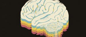 Brain