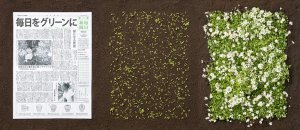 Green newspapers