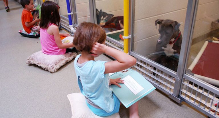 In questo canile i bambini imparano a leggere consolando gli animali abbandonati