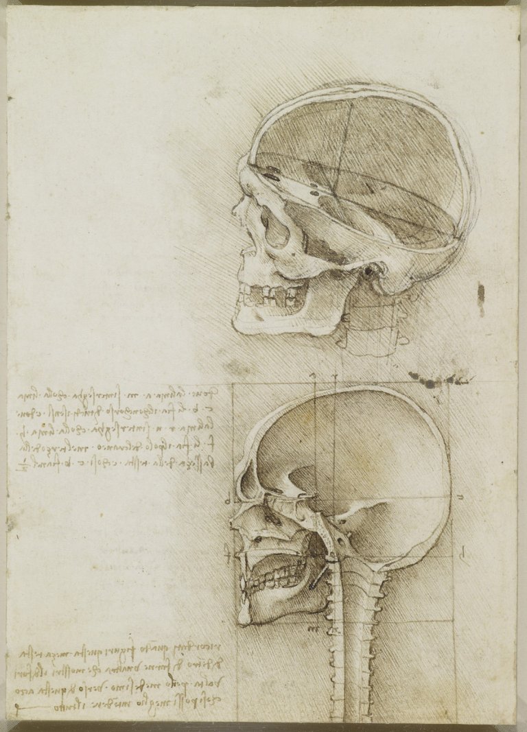 L’anatomia umana secondo Leonardo da Vinci