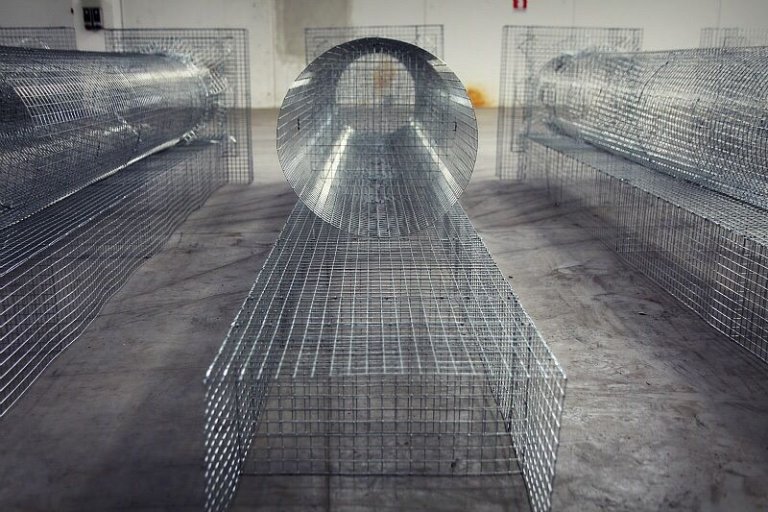Edoardo Tresoldi