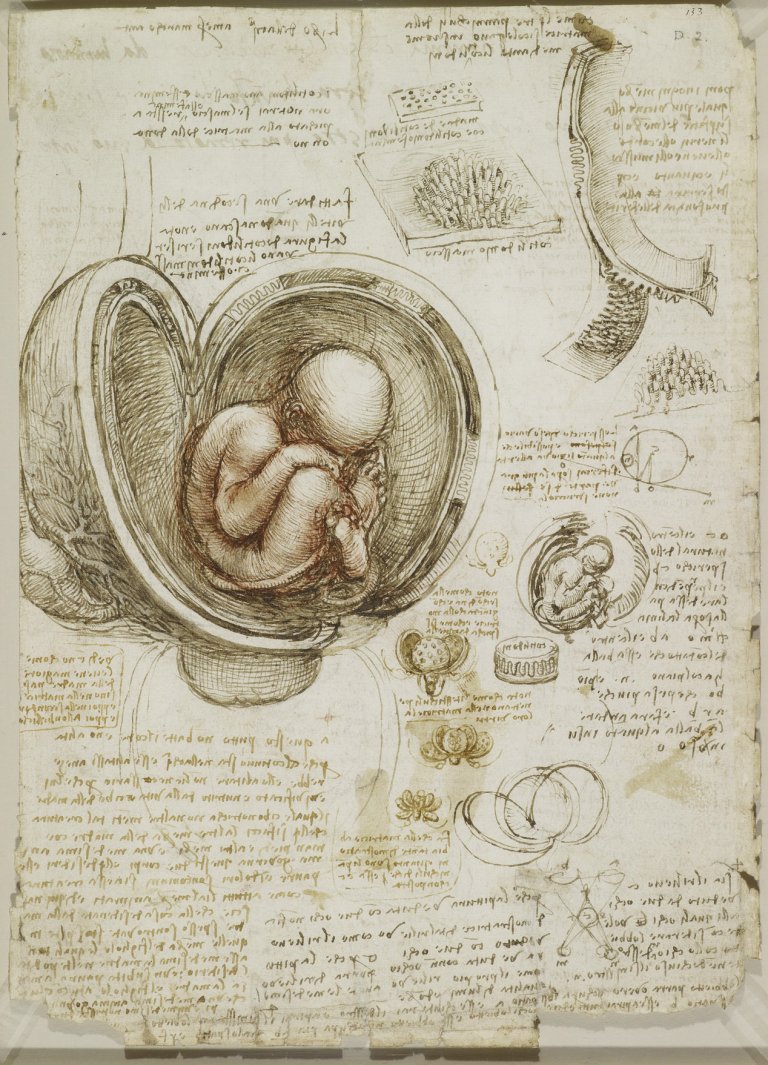 L’anatomia umana secondo Leonardo da Vinci