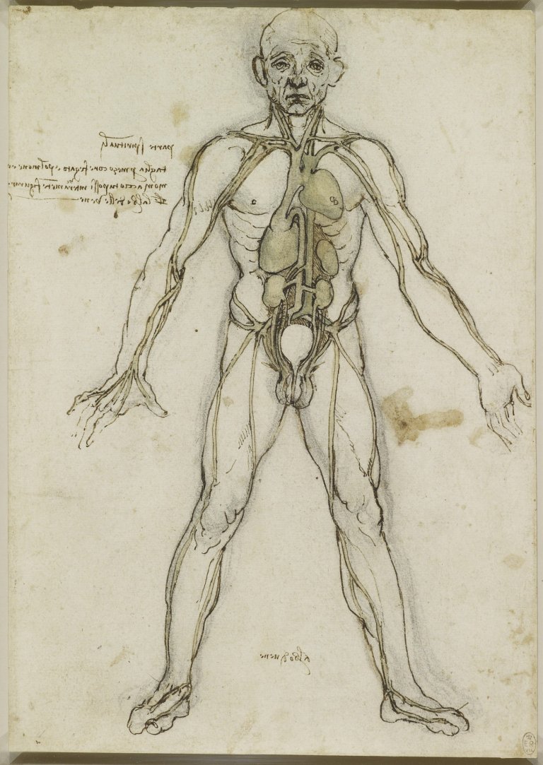 L’anatomia umana secondo Leonardo da Vinci