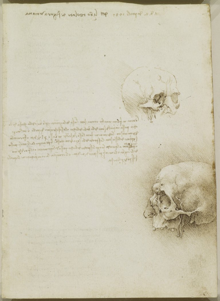 L’anatomia umana secondo Leonardo da Vinci