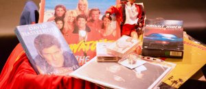 Hoff 01 1024x678ante