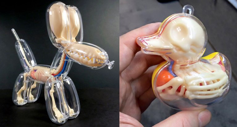 Questo artista indaga l’anatomia delle paperelle di gomma e dei cani palloncino