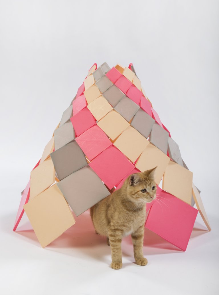 DSH Architecture
